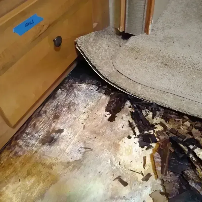 Best Wood Floor Water Damage Service in Trumbull, CT